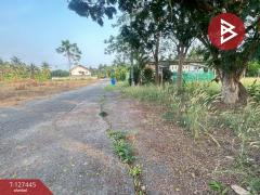 ขายที่ดิน เนื้อที่ 100 ตารางวา บางคนที สมุทรสงคราม ทำเลดี-202511281402131764313333559.jpg