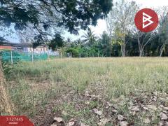 ขายที่ดิน เนื้อที่ 100 ตารางวา บางคนที สมุทรสงคราม ทำเลดี-202511281402141764313334714.jpg