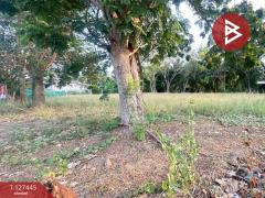 ขายที่ดิน เนื้อที่ 100 ตารางวา บางคนที สมุทรสงคราม ทำเลดี-202511281402151764313335287.jpg