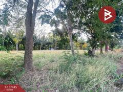 ขายที่ดิน เนื้อที่ 100 ตารางวา บางคนที สมุทรสงคราม ทำเลดี-202511281402151764313335864.jpg