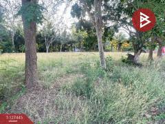 ขายที่ดิน เนื้อที่ 100 ตารางวา บางคนที สมุทรสงคราม ทำเลดี-202511281402161764313336436.jpg