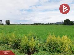 ขายที่ดิน เนื้อที่ 18 ไร่ 3 งาน 12 ตร.วา ที่ดินขุนฝาง อุตรดิตถ์-202511281426551764314815502.jpg