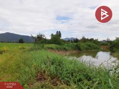 ขายที่ดิน เนื้อที่ 18 ไร่ 3 งาน 12 ตร.วา ที่ดินขุนฝาง อุตรดิตถ์-202511281426561764314816058.jpg