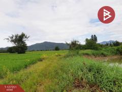 ขายที่ดิน เนื้อที่ 18 ไร่ 3 งาน 12 ตร.วา ที่ดินขุนฝาง อุตรดิตถ์-202511281426561764314816602.jpg