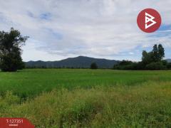 ขายที่ดิน เนื้อที่ 18 ไร่ 3 งาน 12 ตร.วา ที่ดินขุนฝาง อุตรดิตถ์-202511281426571764314817138.jpg