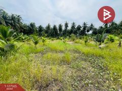 ขายที่ดิน เนื้อที่ 1 งาน อัมพวา สมุทรสงคราม