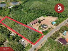 ขายที่ดิน เนื้อที่ 5 ไร่ 90 ตร.วา เขาสมิง ตราด-202511281621121764321672531.jpg