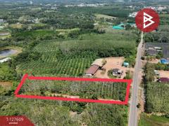 ขายที่ดิน เนื้อที่ 5 ไร่ 90 ตร.วา เขาสมิง ตราด-202511281621131764321673199.jpg