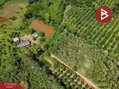 ขายที่ดิน เนื้อที่ 5 ไร่ 90 ตร.วา เขาสมิง ตราด-202511281621131764321673760.jpg