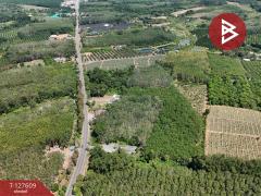 ขายที่ดิน เนื้อที่ 5 ไร่ 90 ตร.วา เขาสมิง ตราด-202511281621141764321674880.jpg