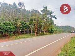 ขายที่ดิน เนื้อที่ 5 ไร่ 90 ตร.วา เขาสมิง ตราด-202511281621161764321676584.jpg