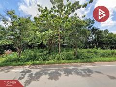 ขายที่ดิน เนื้อที่ 5 ไร่ 90 ตร.วา เขาสมิง ตราด-202511281621171764321677130.jpg