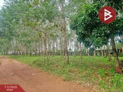 ขายที่ดิน เนื้อที่ 5 ไร่ 90 ตร.วา เขาสมิง ตราด-202511281621181764321678249.jpg