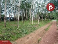 ขายที่ดิน เนื้อที่ 5 ไร่ 90 ตร.วา เขาสมิง ตราด-202511281621181764321678810.jpg