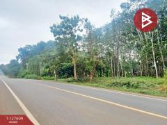 ขายที่ดิน เนื้อที่ 5 ไร่ 90 ตร.วา เขาสมิง ตราด-202511281621191764321679380.jpg