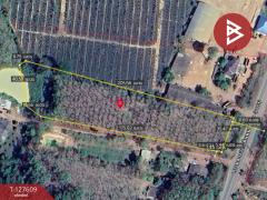 ขายที่ดิน เนื้อที่ 5 ไร่ 90 ตร.วา เขาสมิง ตราด-202511281621191764321679930.jpg