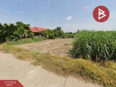 ขายที่ดิน เนื้อที่ 1 ไร่ 1 งาน 73.4 ตร.วา บ้านมะเกลือ นครสวรรค์-202511281707221764324442106.jpg