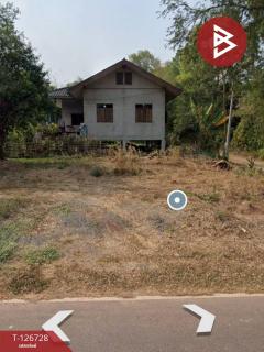 ขายที่ดิน เนื้อที่ 82.7 ตร.วา ปากพลี นครนายก-202511281722071764325327832.jpg