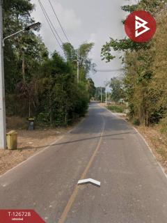 ขายที่ดิน เนื้อที่ 82.7 ตร.วา ปากพลี นครนายก-202511281722101764325330597.jpg