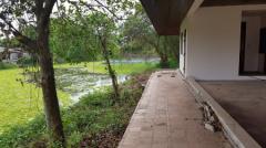 [Duplicate]ขาย บ้านเดี่ยว ริมน้ำ นครชัยศรี หมู่บ้านทองธัชการ 803 ตารางวา บรรยากาศธรรมชาติ ถูกที่สุด-202511290718541764375534492.jpg