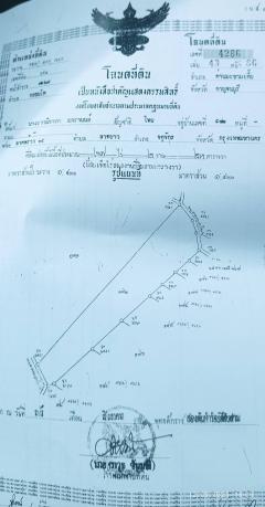 ขายที่ดินโฉนด104ไร่ติดเสาไฟฟ้าแรงสูงมีวงจรฟีดเดอร์ไฟฟ้าว่างสามารถสร้างโรงงานไฟฟ้าโซล่าร์เซลให้กับการไฟฟ้าได้ ขายไร่ละ1.6แสน-202511290755231764377723016.jpeg