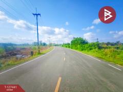 ขายที่ดิน เนื้อที่ 18 ไร่ 3 งาน 9.3 ตร.วา เกาะขวาง จันทบุรี-202511290943411764384221062.jpg