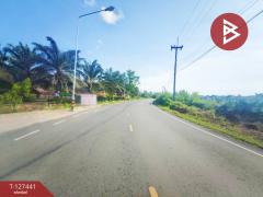 ขายที่ดิน เนื้อที่ 18 ไร่ 3 งาน 9.3 ตร.วา เกาะขวาง จันทบุรี-202511290943411764384221623.jpg