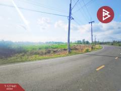 ขายที่ดิน เนื้อที่ 18 ไร่ 3 งาน 9.3 ตร.วา เกาะขวาง จันทบุรี-202511290943421764384222190.jpg