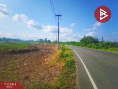 ขายที่ดิน เนื้อที่ 18 ไร่ 3 งาน 9.3 ตร.วา เกาะขวาง จันทบุรี-202511290943421764384222750.jpg