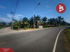 ขายที่ดิน เนื้อที่ 18 ไร่ 3 งาน 9.3 ตร.วา เกาะขวาง จันทบุรี-202511290943431764384223308.jpg