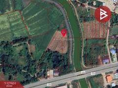 ขายที่ดิน เนื้อที่ 4 ไร่ 1 งาน 41.9 ตร.วา ผาจุก อุตรดิตถ์-202511290950061764384606936.jpg