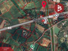 ขายที่ดิน เนื้อที่ 4 ไร่ 1 งาน 41.9 ตร.วา ผาจุก อุตรดิตถ์-202511290950081764384608619.jpg