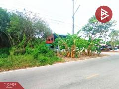 ขายที่ดิน เนื้อที่ 2 งาน 14 ตร.วา บ้านปรก สมุทรสงคราม-202511291100011764388801201.jpg