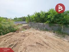 ขายที่ดินเปล่า เนื้อที่ 2 ไร่ เสม็ด ชลบุรี-202511291124441764390284756.jpg