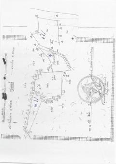 ขายที่ดินแปลงสวย อำเภอโนนไทย จังหวัดนครราชสีมา เนื้อที่ 50 ไร่ #น้ำไม่ท่วม