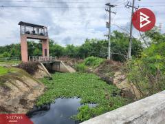 ขายที่ดิน เนื้อที่ 1 ไร่ 2 งาน 77 ตร.วา บางเลน นครปฐม-202511291200561764392456314.jpg