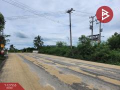 ขายที่ดิน เนื้อที่ 1 ไร่ 2 งาน 77 ตร.วา บางเลน นครปฐม-202511291200561764392456884.jpg