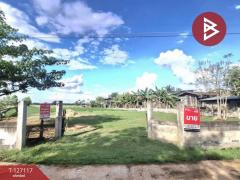 ขายที่ดิน เนื้อที่ 3 งาน 80 ตารางวา บ้านโนนเหลี่ยม อ.พยัคฆภูมิพิสัย มหาสารคาม-202511291230321764394232383.jpg