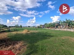 ขายที่ดิน เนื้อที่ 3 งาน 80 ตารางวา บ้านโนนเหลี่ยม อ.พยัคฆภูมิพิสัย มหาสารคาม-202511291230341764394234008.jpg