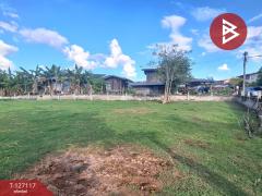 ขายที่ดิน เนื้อที่ 3 งาน 80 ตารางวา บ้านโนนเหลี่ยม อ.พยัคฆภูมิพิสัย มหาสารคาม-202511291230341764394234545.jpg