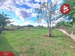 ขายที่ดิน เนื้อที่ 3 งาน 80 ตารางวา บ้านโนนเหลี่ยม อ.พยัคฆภูมิพิสัย มหาสารคาม-202511291230351764394235082.jpg