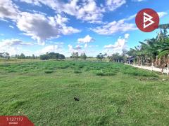 ขายที่ดิน เนื้อที่ 3 งาน 80 ตารางวา บ้านโนนเหลี่ยม อ.พยัคฆภูมิพิสัย มหาสารคาม-202511291230351764394235623.jpg