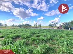 ขายที่ดิน เนื้อที่ 3 งาน 80 ตารางวา บ้านโนนเหลี่ยม อ.พยัคฆภูมิพิสัย มหาสารคาม-202511291230361764394236159.jpg