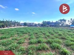 ขายที่ดิน เนื้อที่ 3 งาน 80 ตารางวา บ้านโนนเหลี่ยม อ.พยัคฆภูมิพิสัย มหาสารคาม-202511291230361764394236702.jpg