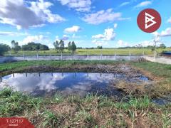 ขายที่ดิน เนื้อที่ 3 งาน 80 ตารางวา บ้านโนนเหลี่ยม อ.พยัคฆภูมิพิสัย มหาสารคาม-202511291230371764394237238.jpg