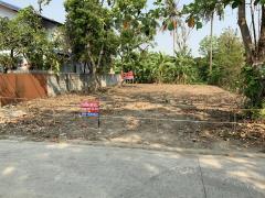 ขายที่ดิน บางใหญ่ ใกล้รถไฟฟ้า 99 วา 2.1 ล้าน 0864540423-202511291322201764397340728.jpg