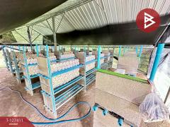 ขายบ้านเดี่ยวพร้อมที่ดิน เนื้อที่ 1 ไร่ จอมบึง ราชบุรี-202511291349071764398947900.jpg