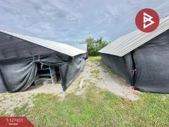 ขายบ้านเดี่ยวพร้อมที่ดิน เนื้อที่ 1 ไร่ จอมบึง ราชบุรี-202511291349091764398949557.jpg