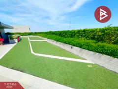 ขายคอนโด นิวโนเบิล งามวงศ์วาน (Nue Noble Ngamwongwan) นนทบุรี-202511291416331764400593012.jpg