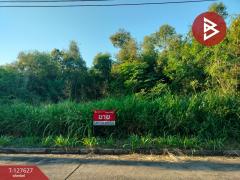 ขายที่ดิน-เนื้อที่-1-ไร่-21-ตร.วา-วังน้อ